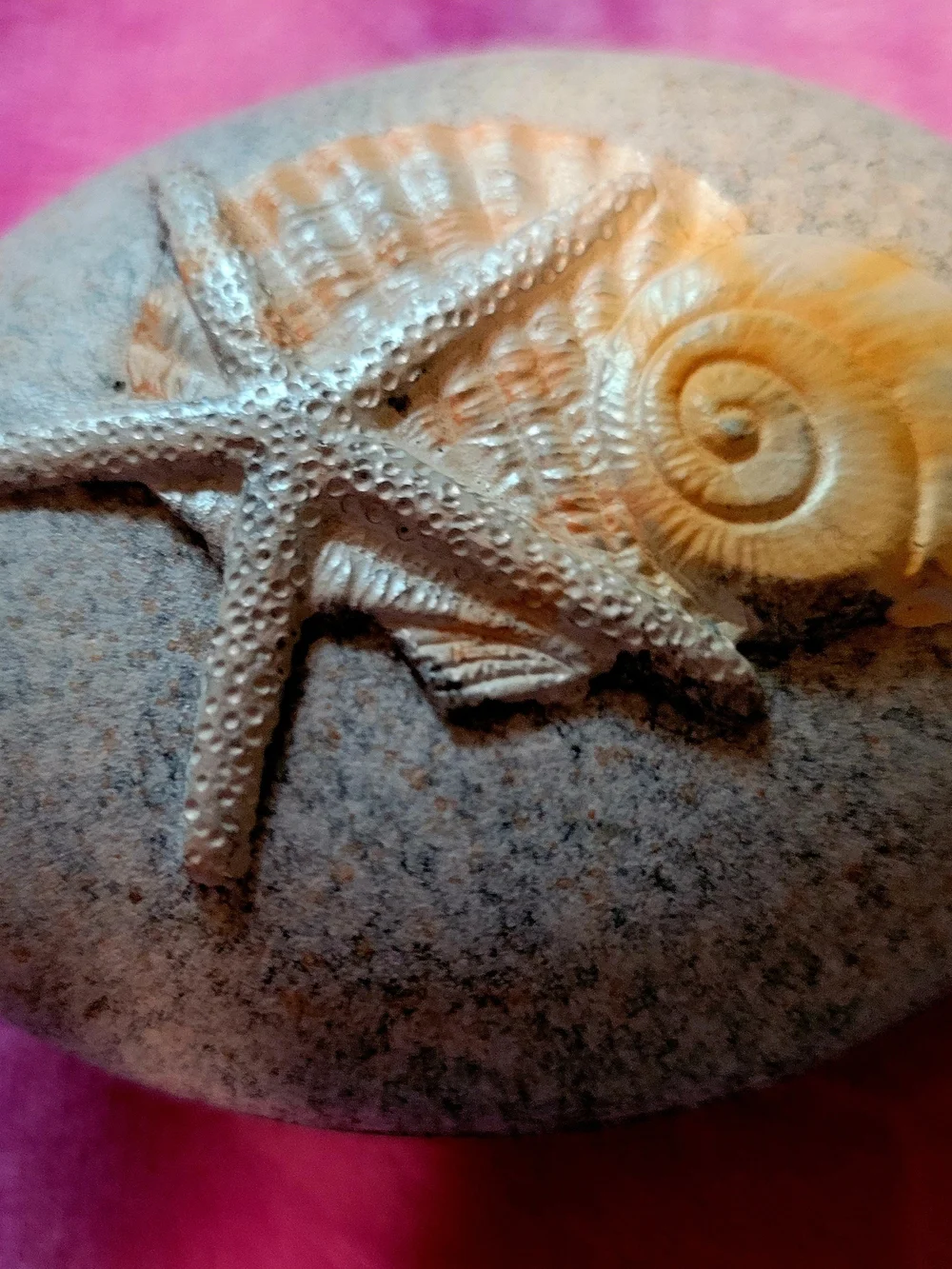 Decorative Starfish Shell Accent Stone in Beige and Natural